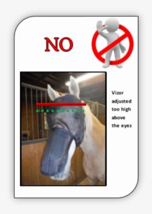 Picture - Horse #3887598