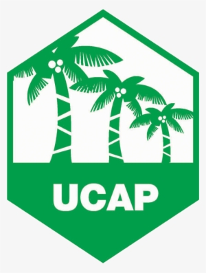United Coconut Association Of The Philippines, Inc #3888019