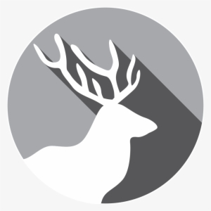 February 14, 2017 - Animal #3888723