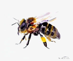 Bee Transparent Background Png - Transparent Watercolor Bee #3889774