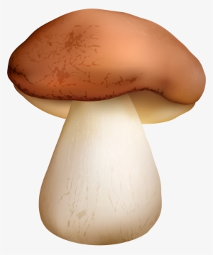Boletus Mushroom Png Clipart - Boletus Clipart #3889871