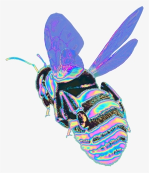 Go To - Www - Redbubble - Com/people/dinaaaaaah Some - Honeybee #3890044