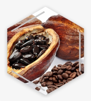 Serv Kafe I Kakao Ho #3890114