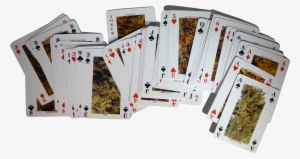 "trading Cards Were A Huge Part Of Childhood - Adult Card Deck #3890117