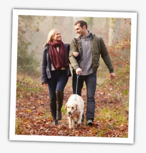 Train Your Dog - Move More Sit Less And Eat Right #3890696