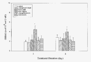 Effect Of Antioxidants On Acn-induced Oh8dg In She - Cell #3890889