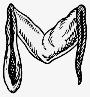 Details, Png - Maunch #3890985