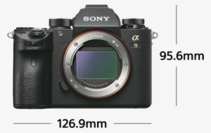 Sony A9 Ilce 9 #3891775