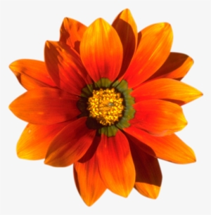 Vhs Distortion After Effects Tutorial - Happy Mothers Day 2018 To My Sister #3891975