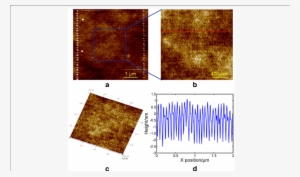 Afm Images Of An Array Of Pits With A Scratching Velocity - Bronze #3892342