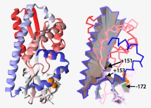 6 Example Of A Unique Configuration When A Segment - Graphic Design #3893195