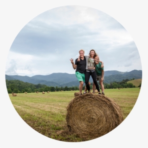 Haybail1 - Hay #3895678