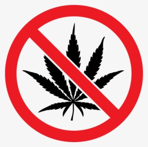 Marijuana - Signs Of No Drugs And Alcohol #3895876