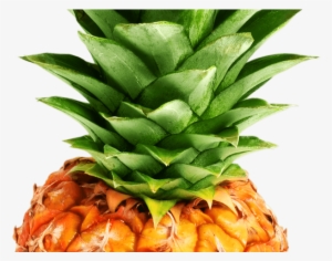 Pineapple Png Transparent Images - Pineapple Png #3896324