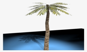 3d Palm Tree Model With Lighting And Shading - Attalea Speciosa #3896412
