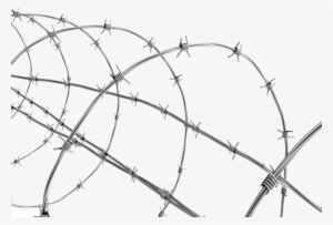 Transparent Background Barbed Wire Png #3896480