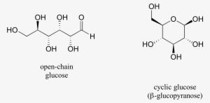 One Thing That You Should Notice In The Cyclic Structure - Acyclic Organic Molecule #3896600