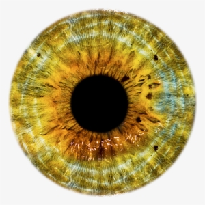 Golden Eyes, Dragon Eye, All Seeing Eye, Yellow Eyes, - Yellow Eye Lens Png #3896778
