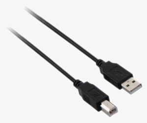 V7 Usb - V7 Usb 2.0 Cable - 6ft #3897292