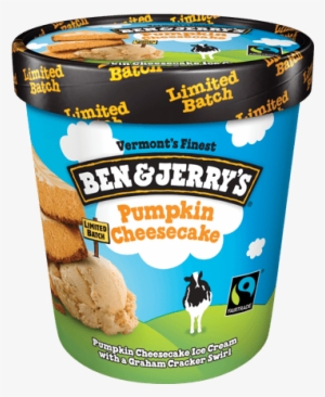 Pumpkin Cheesecake Detail - Ben And Jerry's Pumpkin Cheesecake #3897897