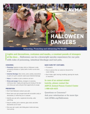 Halloweenpetsafety-1 #3898039