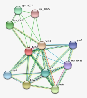 Ferris Wheel #390022