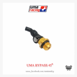 Bypass 45 Gld-500x333 - Uma Racing #390715