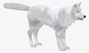 Arctic Wolf - Zoo Tycoon 2 #390743