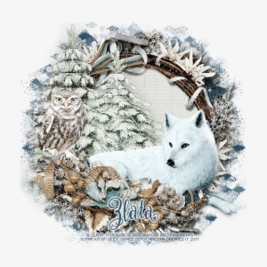 White Wolf - Red Fox #391316