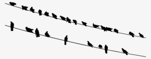 This Free Icons Png Design Of Birds On Wires Silhouette #392467