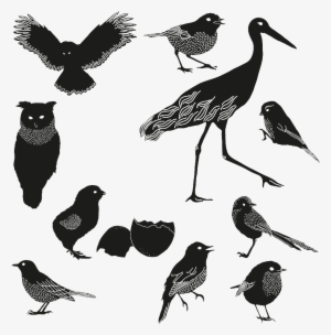 Transparent Black Silhouettes Of Birds Of All Sizes #392632 Transparent Black Silhouettes Of Birds Of All Sizes #392632
