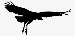 Png File Size - Transparent Eagle Wing Silhouette #392683