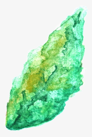 Transparente Png Ornamental Para Verde Y Verde Ramas - Leaf #392925