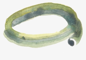 Transparente Png Ornamental Para Verde Y Verde Ramas - Circle #392956