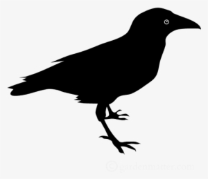 See How Easy And Fun This Bird Silhouette Craft Is - Raven Clipart #393138 See How Easy And Fun This Bird Silhouette Craft Is - Raven Clipart #393138