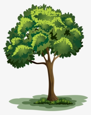 Arbre,png - Trees And Flowers Clipart #393139