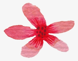 9 Frame - Lily #393164 9 Frame - Lily #393164