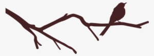 Pájaro En Rama - Wall Sticker Family Like Branches #393188