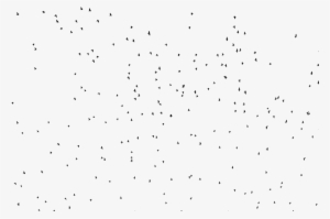 Birds Silhouette By Frankandcarystock - Bird #393244