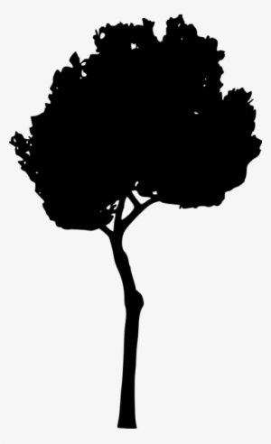 Tree Silhouette Png - Portable Network Graphics #393271