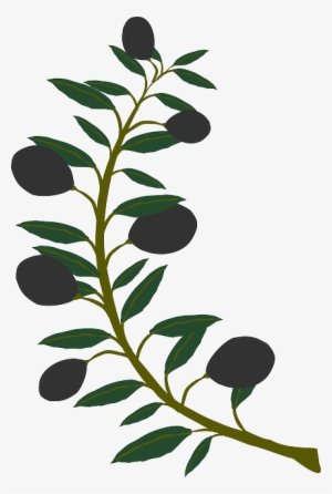 Branch, Olive, Plant, Tree - Watercolor Olive Branch Png #393460