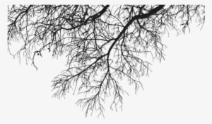 Rama Deco Arriba - Branches Png #393521