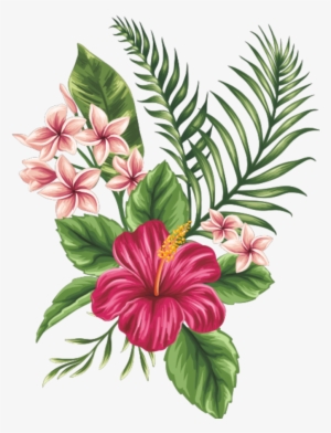 Tropical Drawing #393528