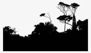 This Free Icons Png Design Of Tropical Foliage Silhouette #393956