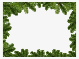 Christmas Background With Fir Branches Free Download - Christmas Day #394109
