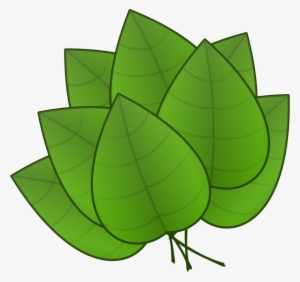Leaves Clip Art At Clker - Parts Of Plants Leaves #394195