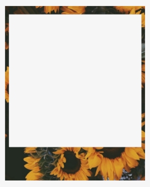 Report Abuse - Polaroid Png #394313