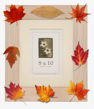 Framing Fall Foliage - 22x28 Colori Medium Picture Frame Yellow #394699