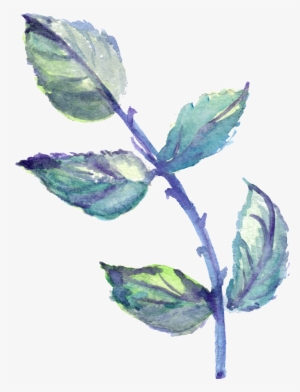 This Graphics Is Purple Thorn Leaves Transparent Decorative - Purple #394833