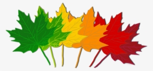 Fall Leaves Clip Art Beautiful Autumn Clipart 3 Image - Leaves Changing Color Clipart #394948